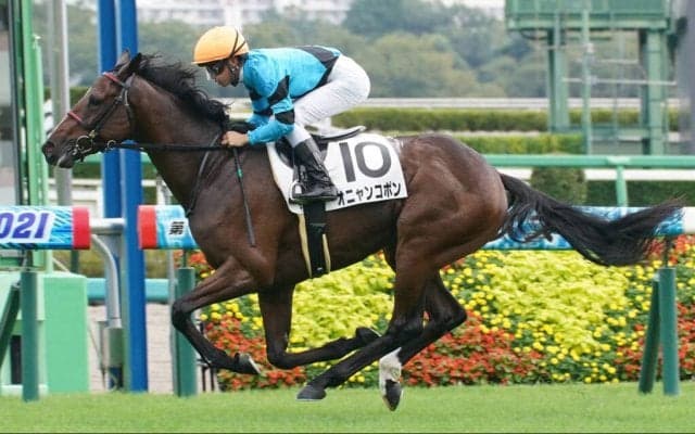 【東京新聞杯登録馬】オニャンコポンなど19頭