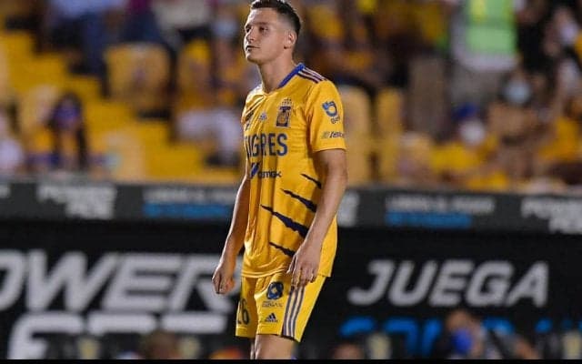 元フランス代表トヴァン、ウディネーゼ加入に迫る！　離脱デウロフェウの代役にめど