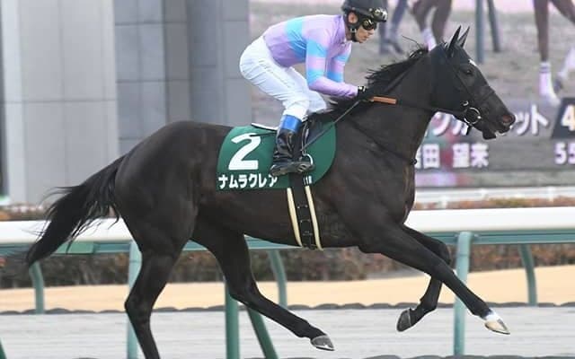 【シルクロードS】売上は55億1775万2900円で昨年から減少
