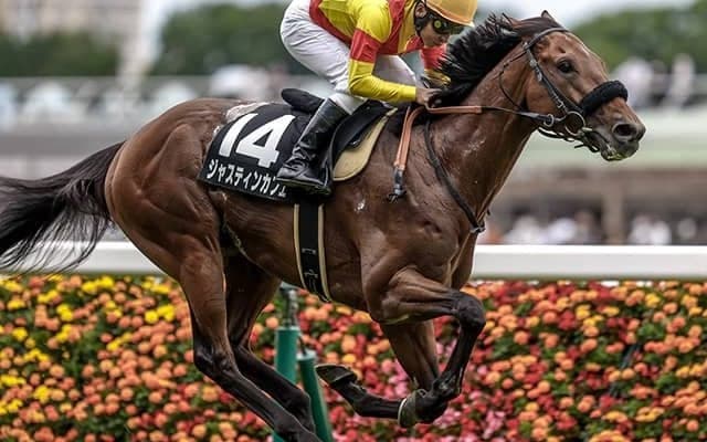 【AI予想・東京新聞杯】芝マイルで豪脚一閃！ 初のタイトル奪取へ絶好の舞台