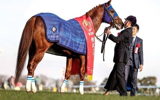 米で多数の重賞馬出す底力あふれる血統構成 レモンポップが待望の初タイトル
