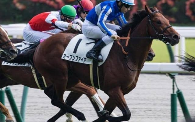 ディープ最終世代の3億円馬 サトノダイヤモンドらを輩出のきさらぎ賞に挑戦