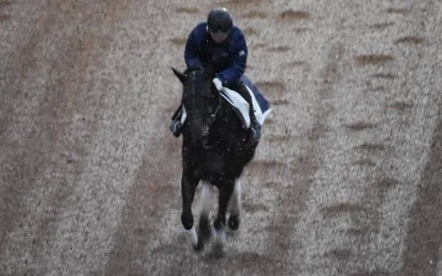 ソリストサンダーなど、先週の入厩情報/栗東トレセンニュース