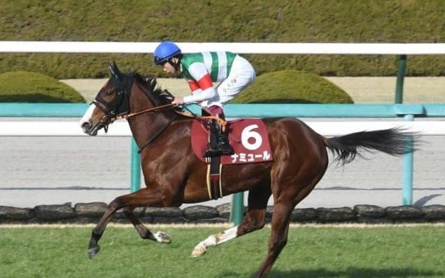 【東京新聞杯予想オッズ】ナミュールが予想1番人気