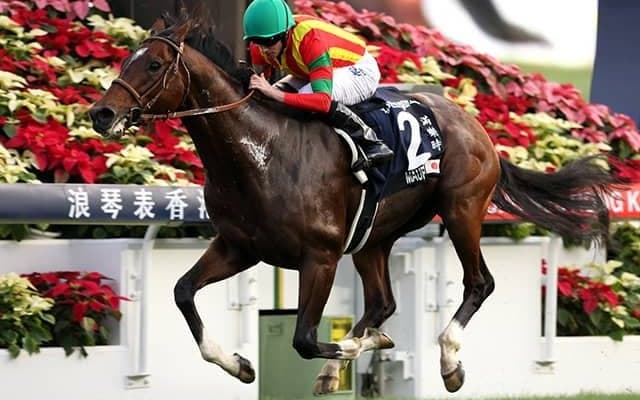 豪G1・3勝のモーリス産駒が故障で引退 今後は種牡馬入りの道を模索