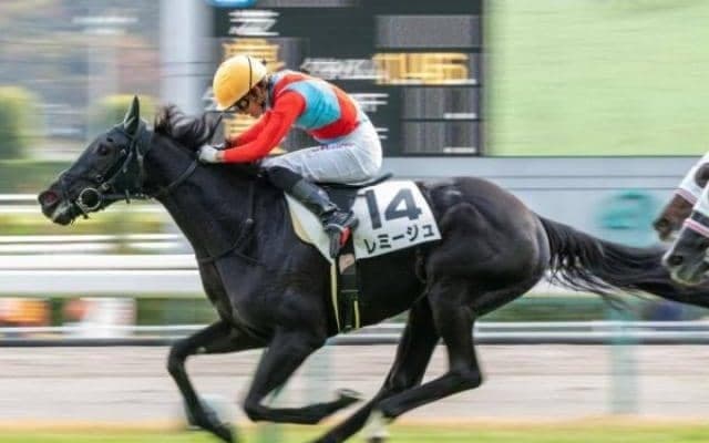 【きさらぎ賞展望】少頭数の3歳重賞、展開利が見込めるあの馬に期待したい