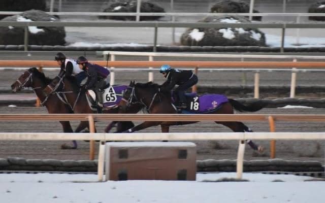 ファントムシーフ、共同通信杯1週前追い切り速報/栗東トレセンニュース