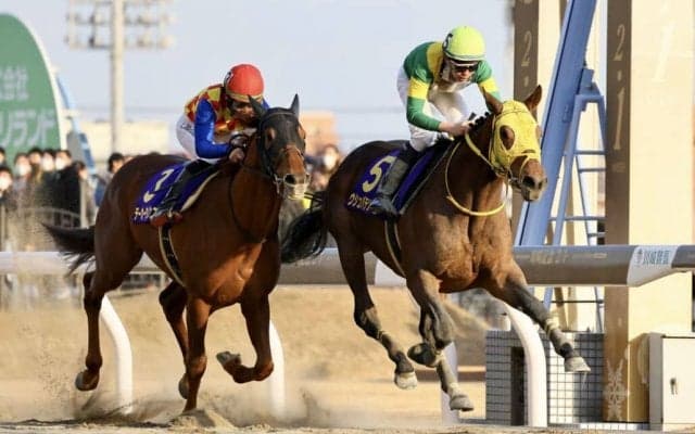 【川崎記念】ウシュバテソーロが交流G1連勝