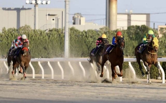 【川崎記念】小崎師「今日に関してはG1馬2頭が抜けていた」ニューモニュメントは3着