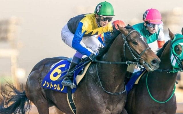 【川崎記念】武豊「上手くいかなかった」ノットゥルノは8着に敗れる