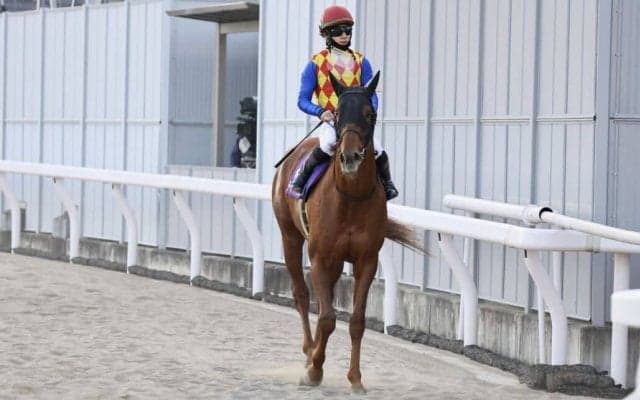 【川崎記念】テーオーケインズ松山「僕の選択ミス」接戦に敗れる