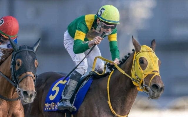 【川崎記念】横山和「これから先、自信になった」ウシュバテソーロが交流G1連勝