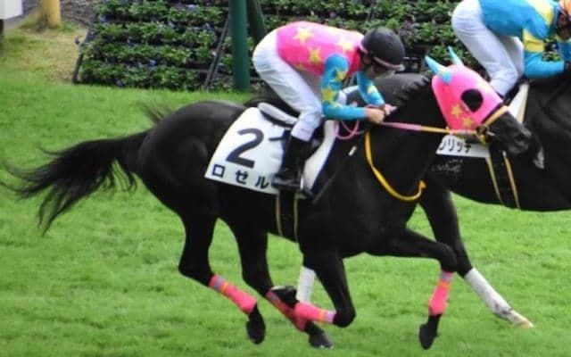 シルバーステート産駒の3歳馬が絶好調！ きさらぎ賞はロゼルも侮れない