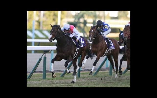 大激変の３歳牡馬ランキング。「主役」不在のままクラシックに突入していくのか