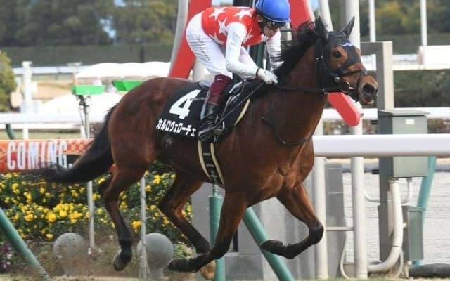 新馬戦で後のGI馬2頭を撃破 期待の素質馬が武豊騎手とのコンビでファルコンSへ