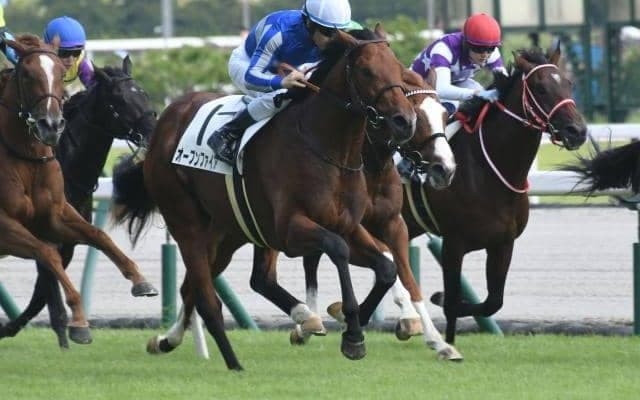 【きさらぎ賞出走馬・騎手確定】フリームファクシ＆川田将雅騎手、オープンファイア＆ムルザバエフ騎手など8頭