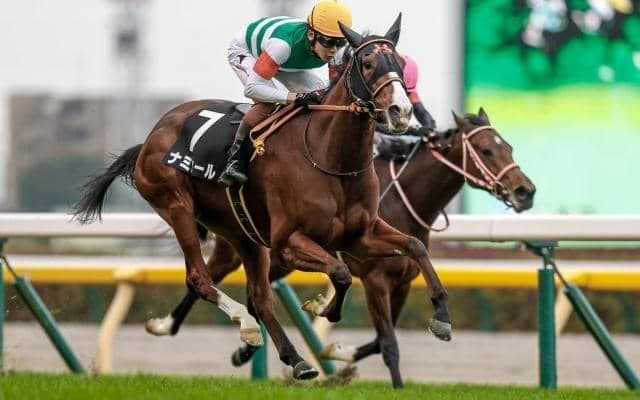 【東京新聞杯出走馬・騎手確定】ナミュール＆横山武史騎手、ジャスティンカフェ＆福永祐一騎手など16頭