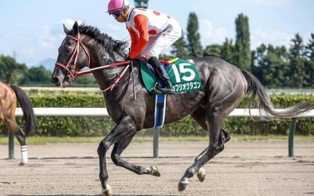 【佐賀記念出走予定馬】カフジオクタゴン、バーデンヴァイラーら