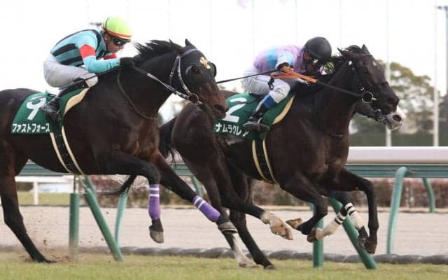 【シルクロードS】ナムラクレアが今年の初戦を快勝！重賞3勝目