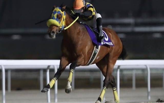 【名古屋・梅見月杯結果】浦和のタカジョーが内を突いて差し切る