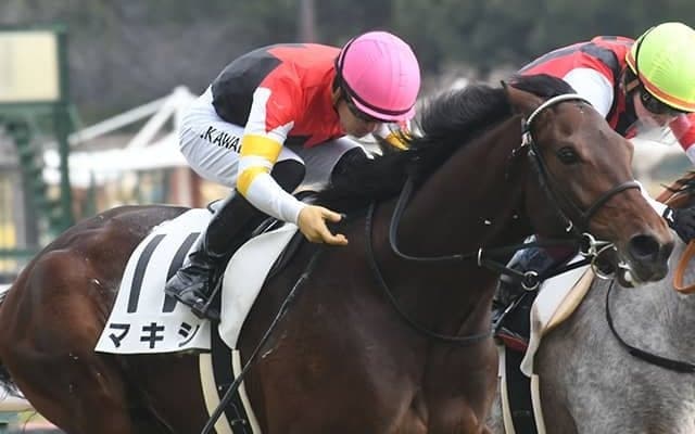 初白星を手にしたラキシスの仔 フリージア賞とすみれSの両にらみ