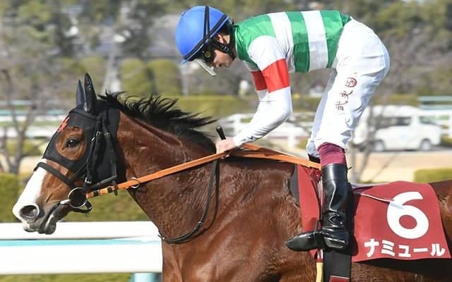 東京新聞杯は“若さ”が最重要なレース 4歳牝馬たちに超追い風データあり！