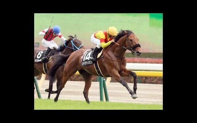 東京新聞杯の本命は「芝1600ｍ」に強いエピファネイア産駒。名マイラーの血を引く牝馬にも好走の気配