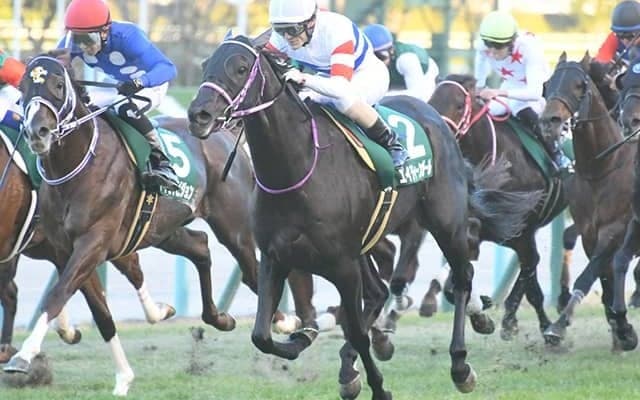 重賞2勝のエイティーンガールが登録抹消 今後は三嶋牧場で繁殖入り