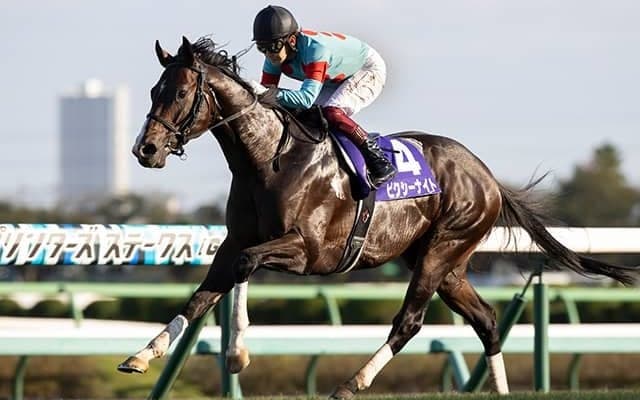 ピクシーナイトが復帰に向けてゲート試験合格