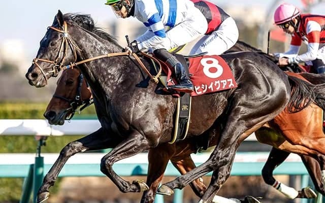 ヒシイグアスの復帰戦は中山記念に 松山弘平騎手とのコンビ復活