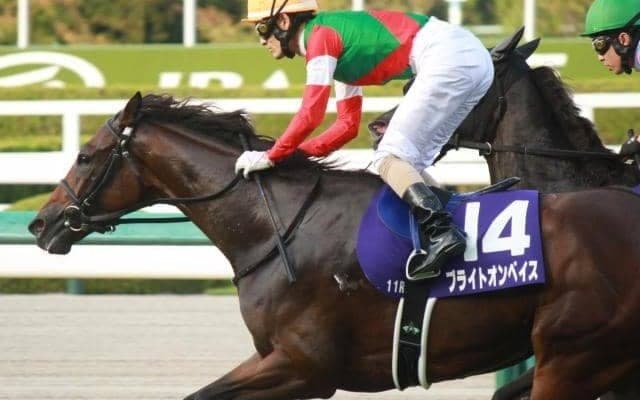 【土曜馬場傾向】中京芝はまだまだ内有利 ブライトオンベイスの逃げ切りがあるぞ