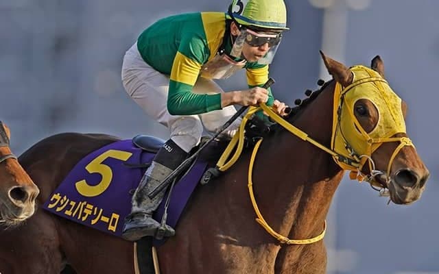 ドバイ諸競走登録の日本勢発表 ワールドCにはウシュバテソーロなど16頭