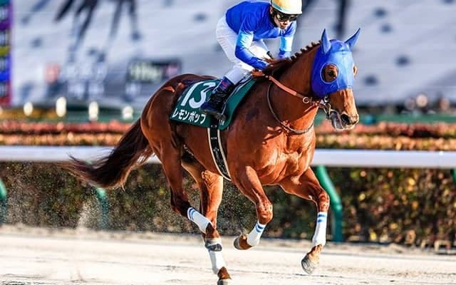 レモンポップやテイエムサウスダンなどフェブラリーSに20頭