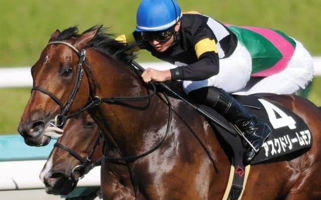 【かささぎ賞】前走不利大のアスクドリームモアが悔しさ晴らす