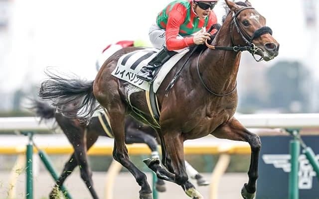 レイベリングやダノンザタイガーなど共同通信杯に12頭