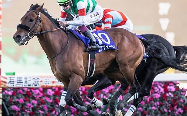 エフフォーリアやドウデュースなど京都記念に14頭