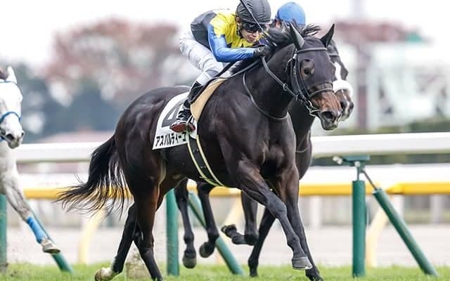 アスパルディーコやドゥアイズなどクイーンCに17頭