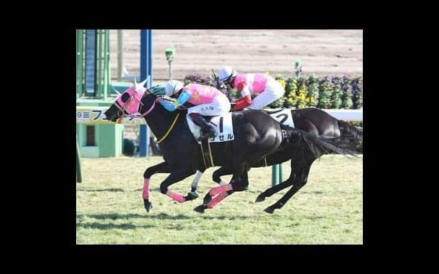 きさらぎ賞で３頭の激走候補。過去データから浮上する人気薄馬の台頭に注意