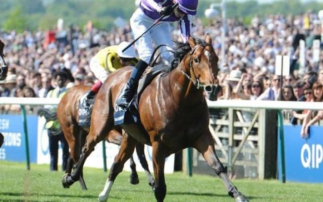 サクソンウォリアー産駒がJRA初勝利 中京5Rで2億円馬アドマイヤイルがV