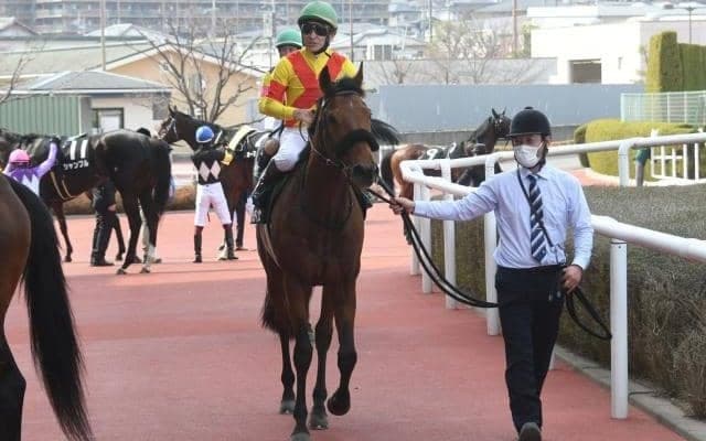 【東京新聞杯予想】ジャスティンカフェに黄色信号!? 前走マイルCS出走牡馬の意外な結果