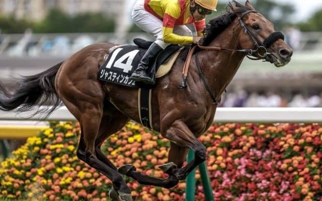 【東京新聞杯前日オッズ】ジャスティンカフェが2.7倍で1番人気