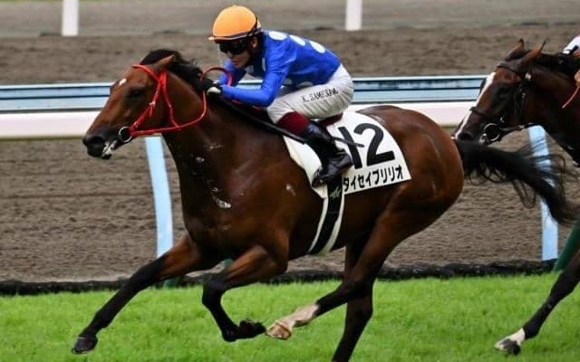 【合馬特別】ベストの1200mでタイセイブリリオが一変だ