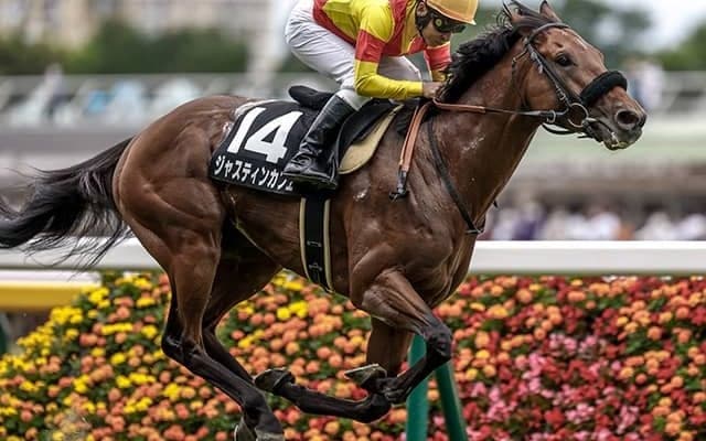 【AI予想・東京新聞杯】人工知能は“無冠の大器”に「◎」重賞未勝利もここは通過点!?