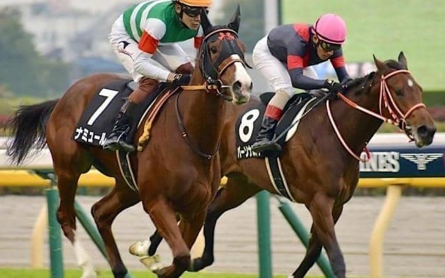 【東京新聞杯】待ちに待った得意のマイル戦 ナミュールの末脚全開だ