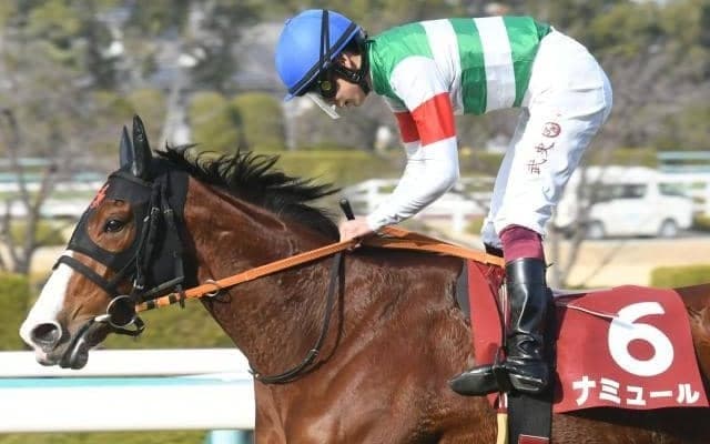 【今日の注目ポイント】東京新聞杯ときさらぎ賞 新馬戦で良血馬が続々デビュー