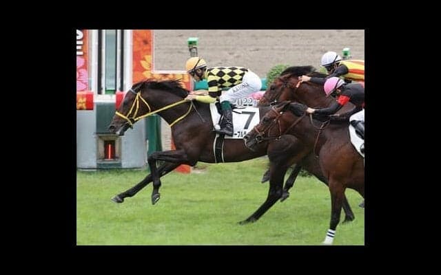 きさらぎ賞は少頭数のわりに波乱が多い。確かな末脚を持つ穴馬２頭が好配当をもたらす