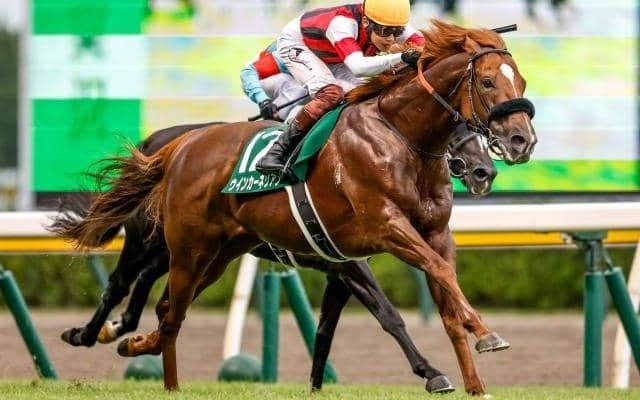 【東京新聞杯予想】人気馬よりも持続力優れたタフな馬に注目を