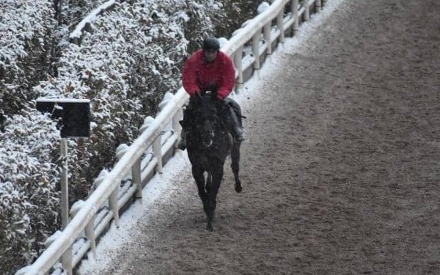 【きさらぎ賞予想】クラシック三冠へ重要な階段 出世レースの勝ち馬を本命に