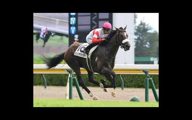 国枝調教師が「理想的な成長曲線を描いている」と評するダノンザタイガー。共同通信杯でクラシックの主役へと躍り出るか