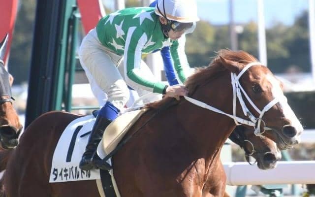【中京6R新馬戦結果】ダイワメジャー産駒タイキバルドルが好位追走から抜け出す